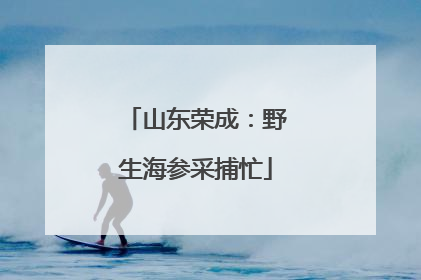 山东荣成：野生海参采捕忙