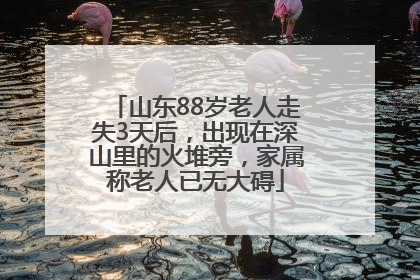山东88岁老人走失3天后，出现在深山里的火堆旁，家属称老人已无大碍