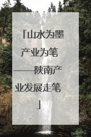 山水为墨 产业为笔——陕南产业发展走笔
