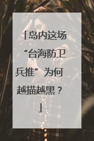 岛内这场“台海防卫兵推”为何越描越黑？