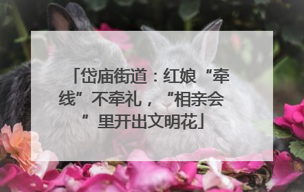 岱庙街道：红娘“牵线”不牵礼，“相亲会”里开出文明花