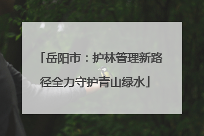 岳阳市：护林管理新路径全力守护青山绿水
