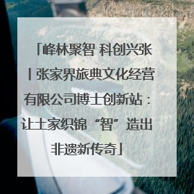 峰林聚智 科创兴张丨张家界旅典文化经营有限公司博士创新站：让土家织锦“智”造出非遗新传奇