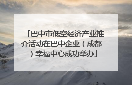 巴中市低空经济产业推介活动在巴中企业（成都）幸福中心成功举办