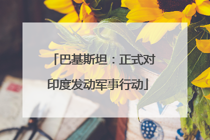 巴基斯坦：正式对印度发动军事行动