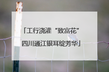工行浇灌“致富花” 四川通江银耳绽芳华