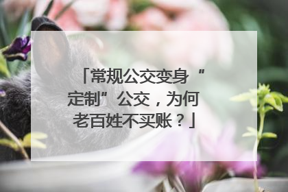 常规公交变身“定制”公交，为何老百姓不买账？