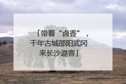 带着“卤香”，千年古城邵阳武冈来长沙邀客