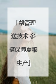 帮管理 送技术 多措保障夏粮生产