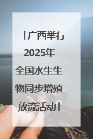 广西举行2025年全国水生生物同步增殖放流活动