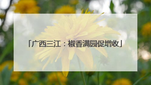 广西三江：椒香满园促增收