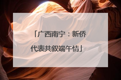 广西南宁：新侨代表共叙端午情