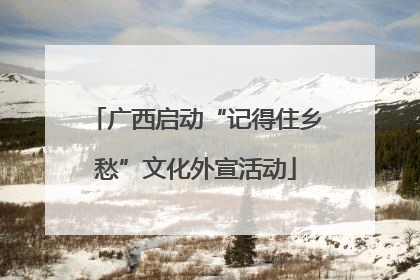 广西启动“记得住乡愁”文化外宣活动