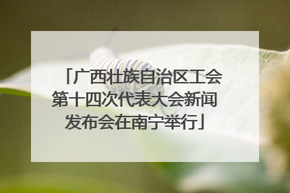 广西壮族自治区工会第十四次代表大会新闻发布会在南宁举行