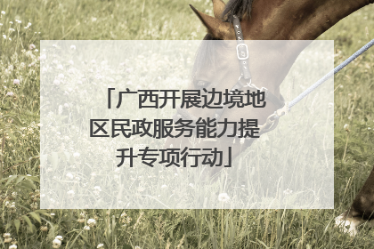 广西开展边境地区民政服务能力提升专项行动