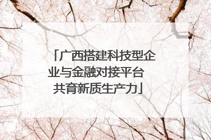 广西搭建科技型企业与金融对接平台 共育新质生产力