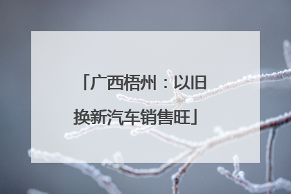 广西梧州：以旧换新汽车销售旺