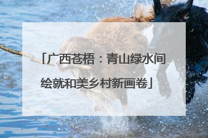 广西苍梧：青山绿水间绘就和美乡村新画卷