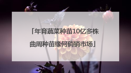 年育蔬菜种苗10亿多株 曲周种苗缘何俏销市场