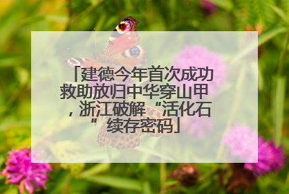 建德今年首次成功救助放归中华穿山甲，浙江破解“活化石”续存密码