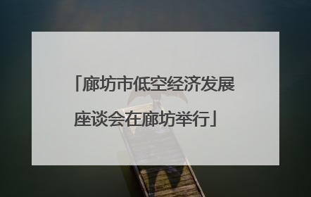 廊坊市低空经济发展座谈会在廊坊举行