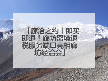 廊洽之约丨即买即退！廊坊离境退税服务端口亮相廊坊经洽会