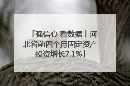 强信心 看数据丨河北省前四个月固定资产投资增长7.1%