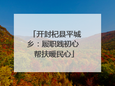 开封杞县平城乡：履职践初心 帮扶暖民心
