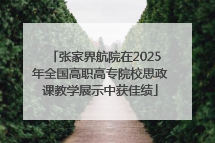 张家界航院在2025年全国高职高专院校思政课教学展示中获佳绩