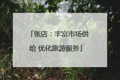 张店：丰富市场供给 优化旅游服务