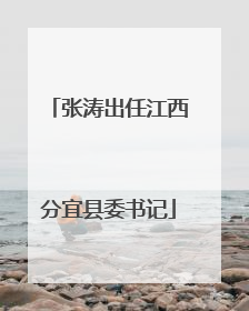 张涛出任江西分宜县委书记
