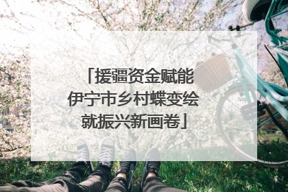 援疆资金赋能 伊宁市乡村蝶变绘就振兴新画卷