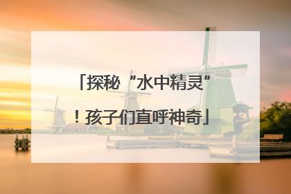 探秘“水中精灵”！孩子们直呼神奇