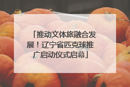 推动文体旅融合发展！辽宁省匹克球推广启动仪式启幕