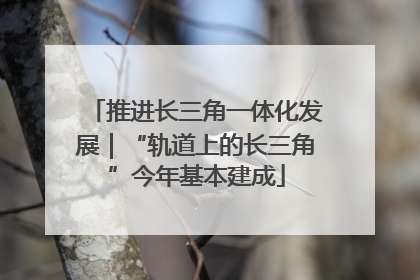 推进长三角一体化发展｜“轨道上的长三角”今年基本建成