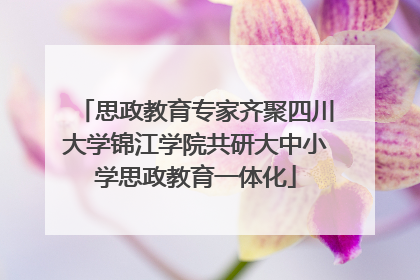 思政教育专家齐聚四川大学锦江学院共研大中小学思政教育一体化