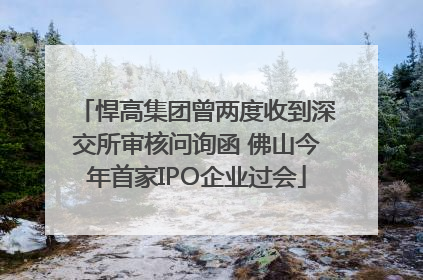 悍高集团曾两度收到深交所审核问询函 佛山今年首家IPO企业过会