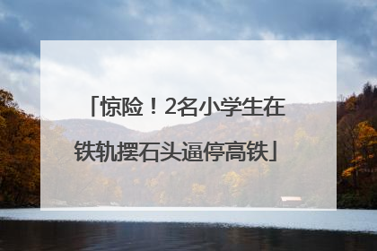 惊险！2名小学生在铁轨摆石头逼停高铁