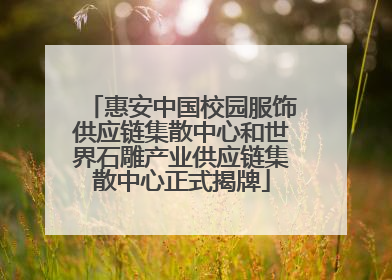 惠安中国校园服饰供应链集散中心和世界石雕产业供应链集散中心正式揭牌