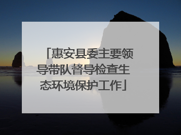 惠安县委主要领导带队督导检查生态环境保护工作