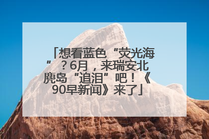 想看蓝色“荧光海”？6月，来瑞安北麂岛“追泪”吧！《90早新闻》来了