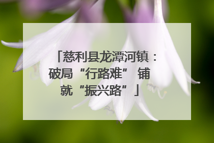 慈利县龙潭河镇：破局“行路难” 铺就“振兴路”
