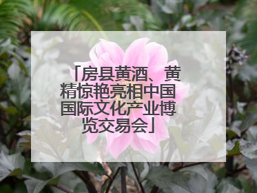 房县黄酒、黄精惊艳亮相中国国际文化产业博览交易会