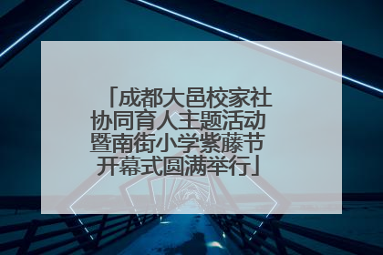 成都大邑校家社协同育人主题活动暨南街小学紫藤节开幕式圆满举行