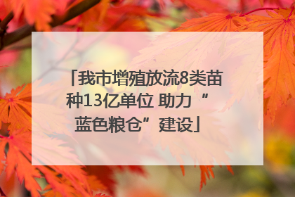 我市增殖放流8类苗种13亿单位 助力“蓝色粮仓”建设