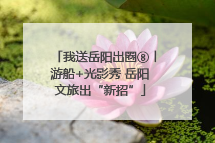 我送岳阳出圈⑧丨游船+光影秀 岳阳文旅出“新招”