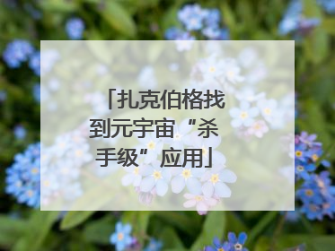 扎克伯格找到元宇宙“杀手级”应用