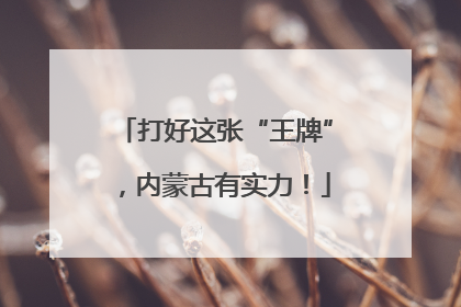 打好这张“王牌”，内蒙古有实力！