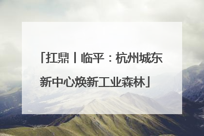 扛鼎丨临平：杭州城东新中心焕新工业森林