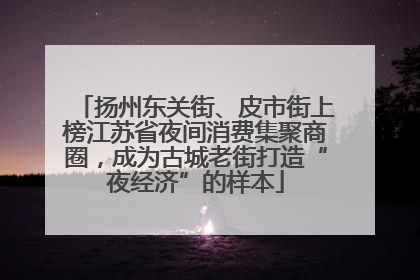 扬州东关街、皮市街上榜江苏省夜间消费集聚商圈，成为古城老街打造“夜经济”的样本